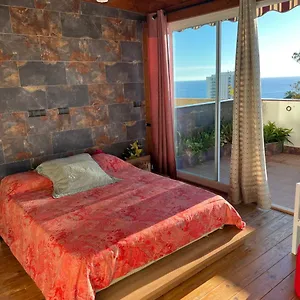 https://duplex-de-lujo-alcia.1costadelsol.com